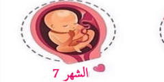 وضعية الجنين في الشهر السابع